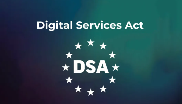 10 Big Tech Regulations You Should Know in 2025 4 Digital Services Act (DSA)