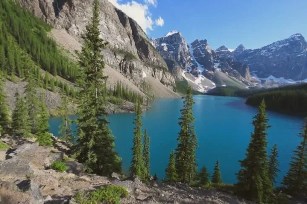 10 Best Crypto Tax Apps in Canada for Easy and Accurate Filing