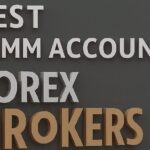 Best PAMM Account Forex Brokers 2025 | Top Reliable Forex PAMM Providers
