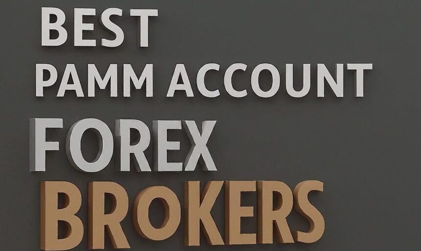 Best PAMM Account Forex Brokers 2025 | Top Reliable Forex PAMM Providers