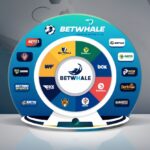 10 Best Betting Sites Like Betwhale | Top Crypto & Sportsbook Alternatives
