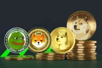 10 Best Book Of Meme (BOME) Wallets for Secure Meme Token Management