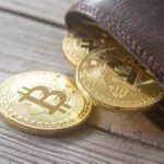 10 Best Crypto Wallets For USA Peoples