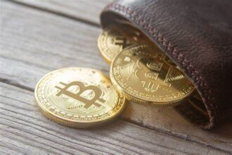 10 Best Crypto Wallets For USA Peoples