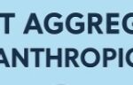9 Top NFT Aggregators for Philanthropic Causes