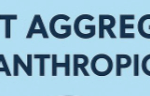 9 Top NFT Aggregators for Philanthropic Causes