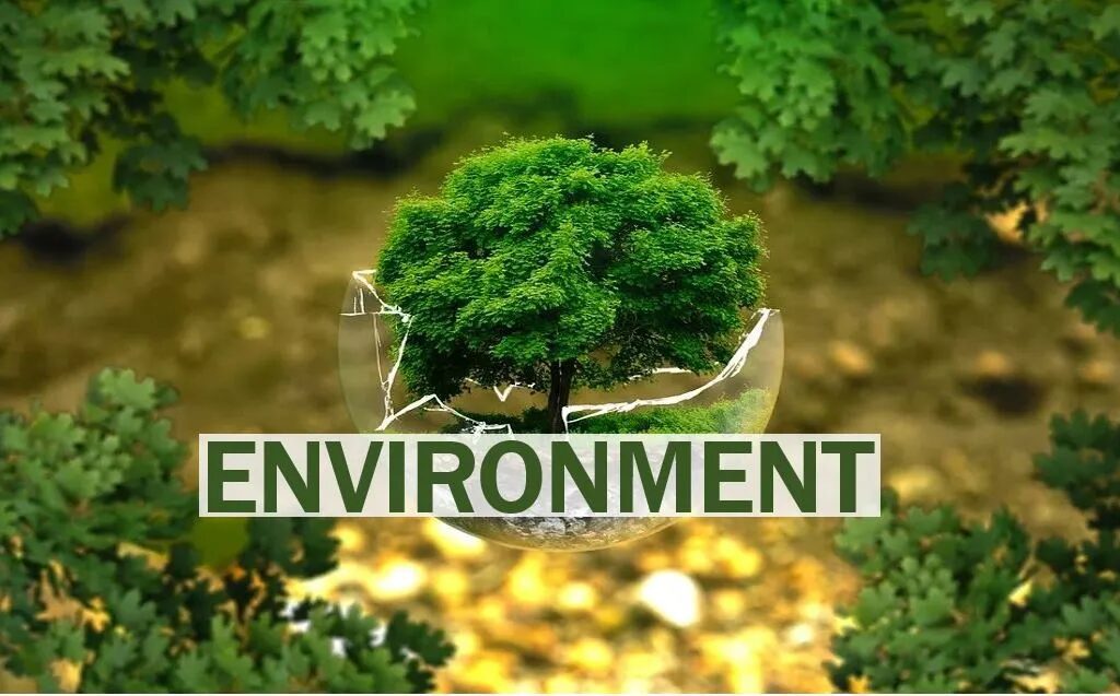 What is Environment?
