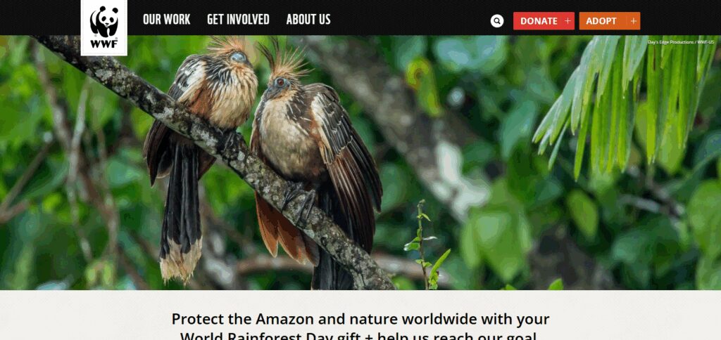 World Wildlife Fund