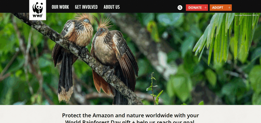9 NFT-Based Charity Events with Verified Donations | Transparent & Secure Giving 9 World Wildlife Fund