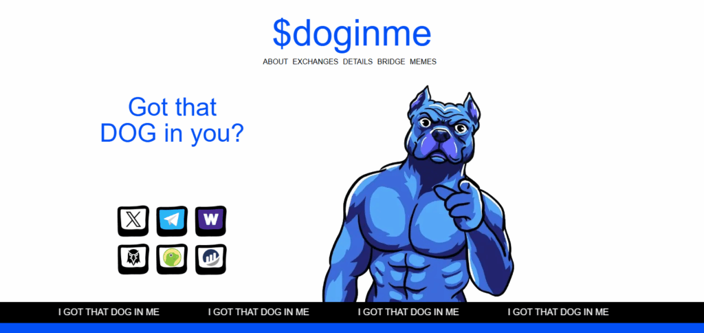 10 Best Base Chain Meme Coins to Buy in 2025 | Top Meme Tokens with Low Fees & Fast Transactions 10 doginme ($DOGINME)