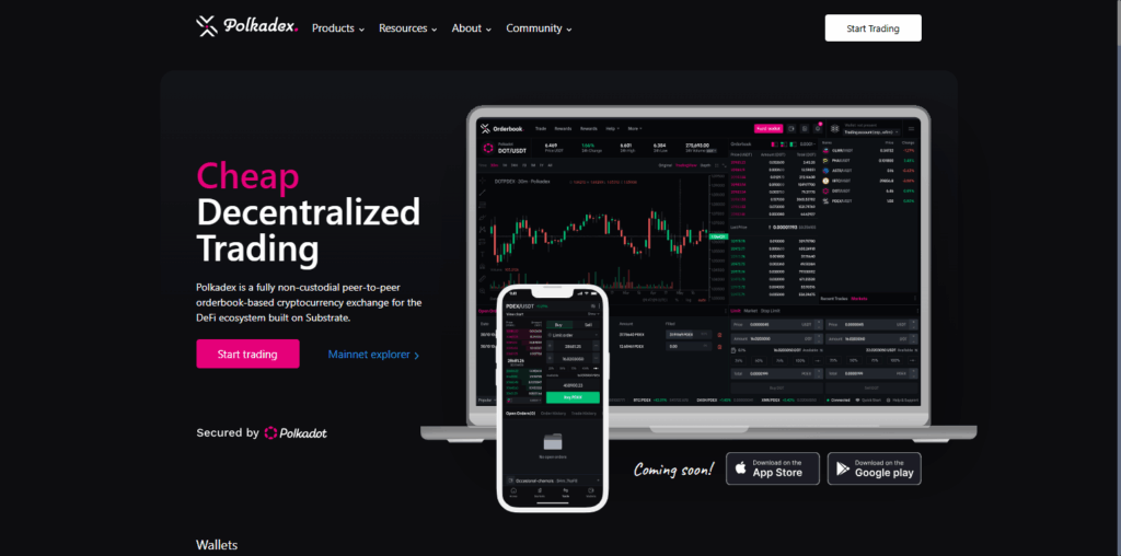 10 Top Polkadot DeFi Apps With Minimal KYC Access 11 Polkadex