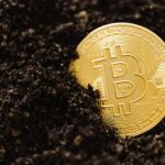 How To Open A Fiat-To-Crypto Exchange Account