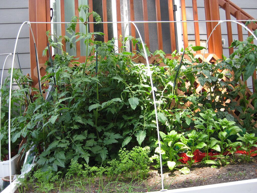 Raised Garden Beds with Liners