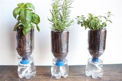 Self-Watering Pots