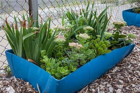 Large Barrel Planters