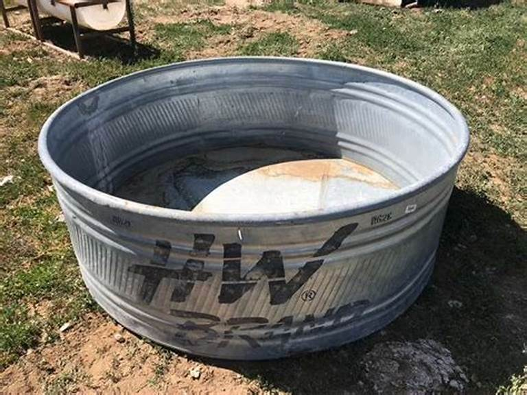10 Best Containers for Clumping Bamboo: Durable & Stylish Planters 3 Galvanized Metal Tubs