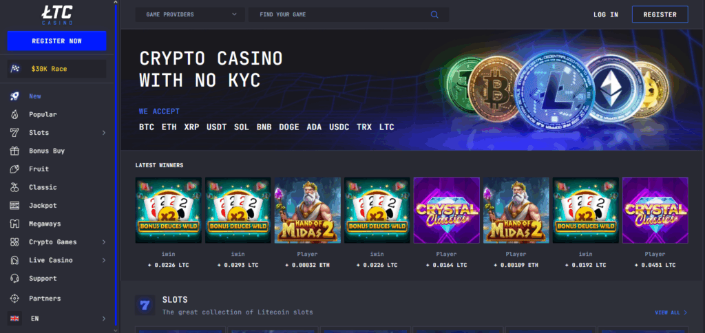 10 Best Bitcoin & Crypto Casinos & Gambling Sites Argentina 2025 9 LTC Casino