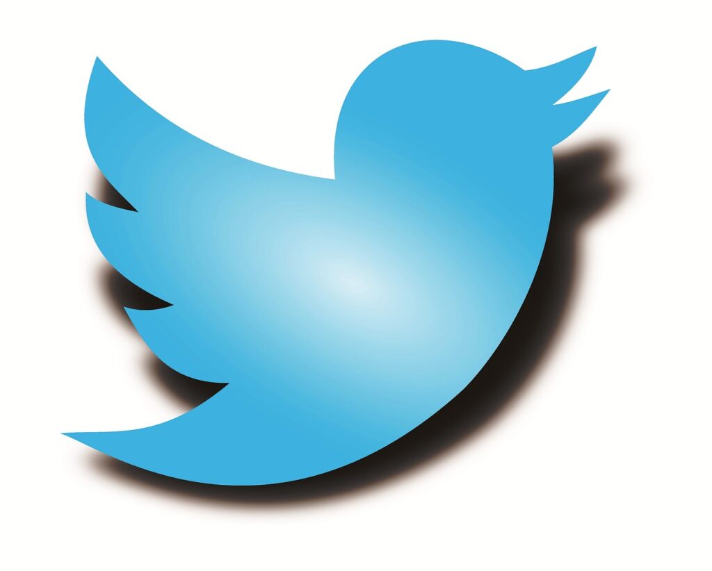 10 Best Twitter Polls For Audience Engagement 4 Community Decisions