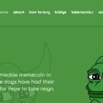 10 Best Pepe Coin (PEPE) Casinos & Gambling Sites