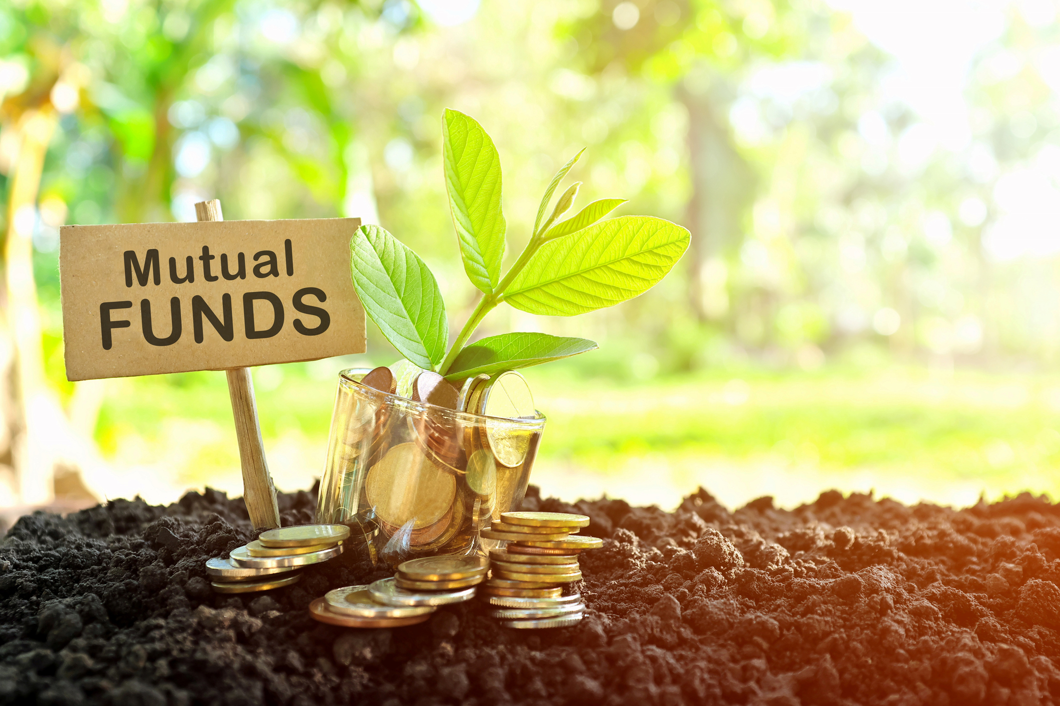 8 Top Performing Mutual Funds to Invest in 2025