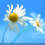 10 Best Free Remote Desktop Tools for Secure & Easy Access in 2025