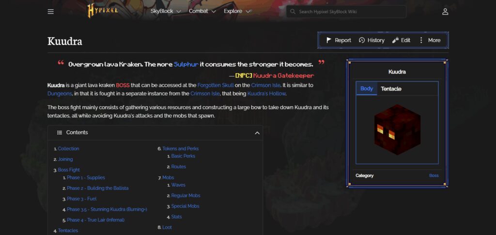 Kuudra Tier Runs