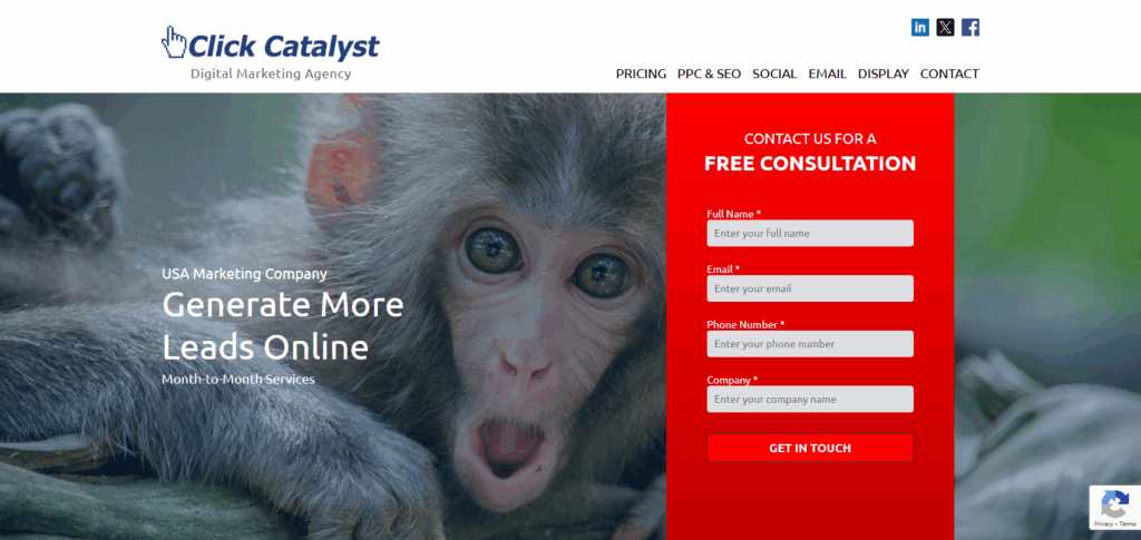 9 Best Seo Companies For California Market 10 Click Catalyst