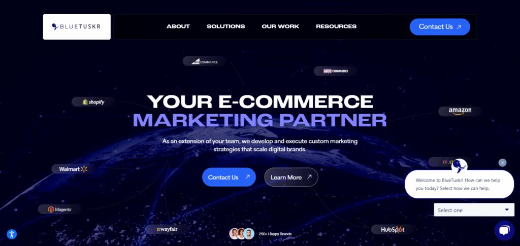 11 Top Seo Companies For Vancouver Market In 2026 10 Blue Tuskr