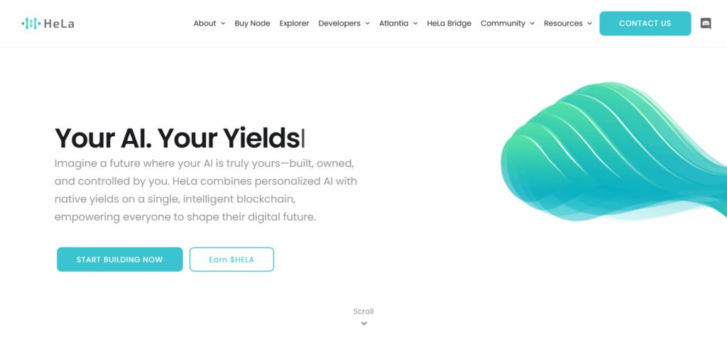 10 Top Meme Coin Development Agencies in 2025 2 HeLa Labs