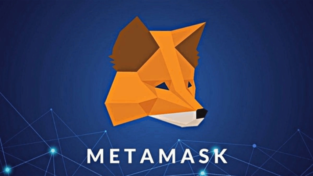 What Are Custom Networks in MetaMask?