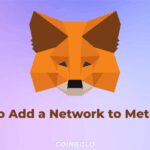How to Add Networks to MetaMask Easily