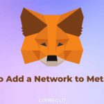 How to Add Networks to MetaMask Easily