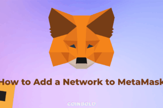 How to Add Networks to MetaMask Easily
