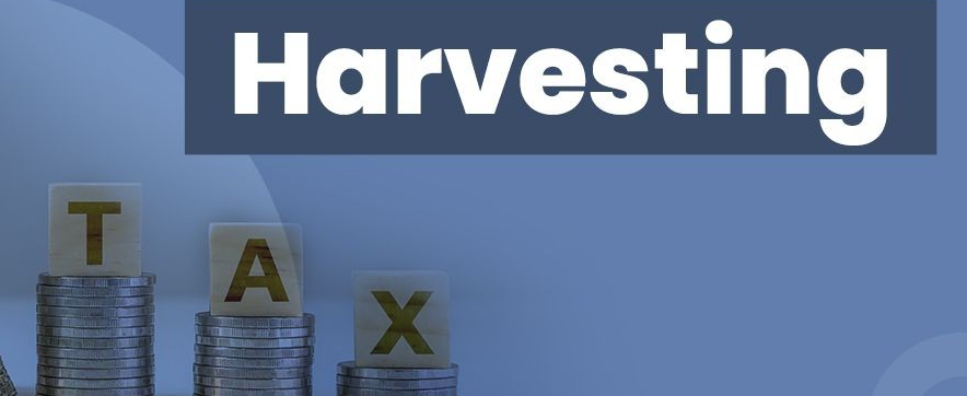 Loss Harvesting Opportunities