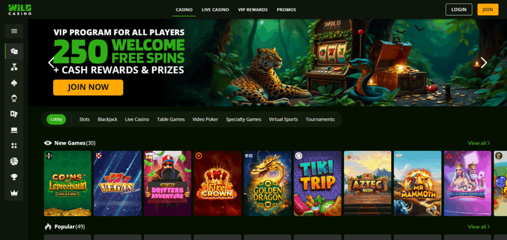 7 Best Casino Credit Card Sites for Fast & Secure Deposits 4 Wild Casino