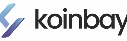 9 Best Koinbay Alternatives and Competitors