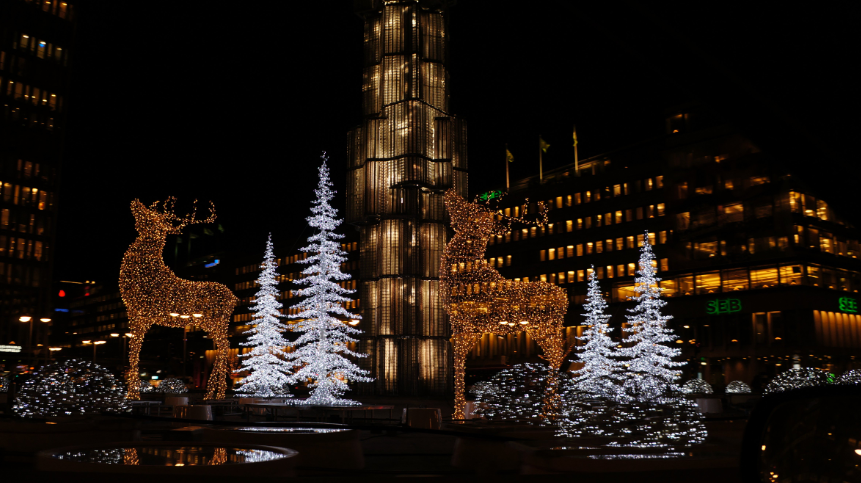 Best Way To Put lights on The Christmas Tree – Easy & Proven Tips 11 Secure the Ends