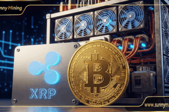 XRP News Today: Sunny Mining Cloud Mining Expands to XRP, BTC, and USDT, Earning $7,777 Daily