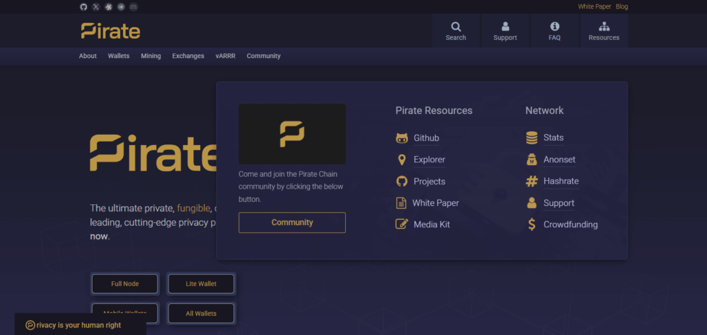 10 Best Alternatives to Bitcoin for Privacy-Focused Transactions 8 Pirate Chain (ARRR)