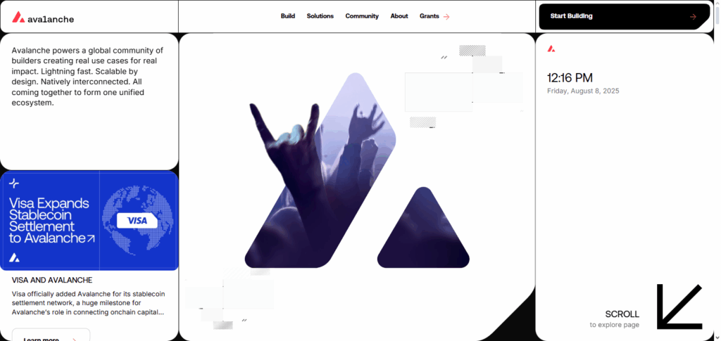 8 Best Alternatives to Binance Smart Chain for Low-Cost Transactions 9 Avalanche