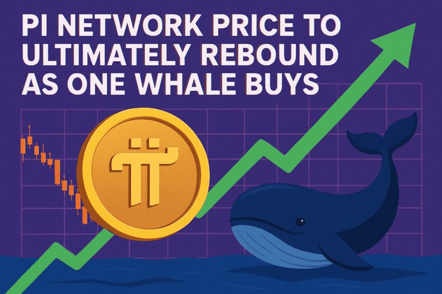 Pi Network Price Soars: Wyckoff Theory & Whale Buying