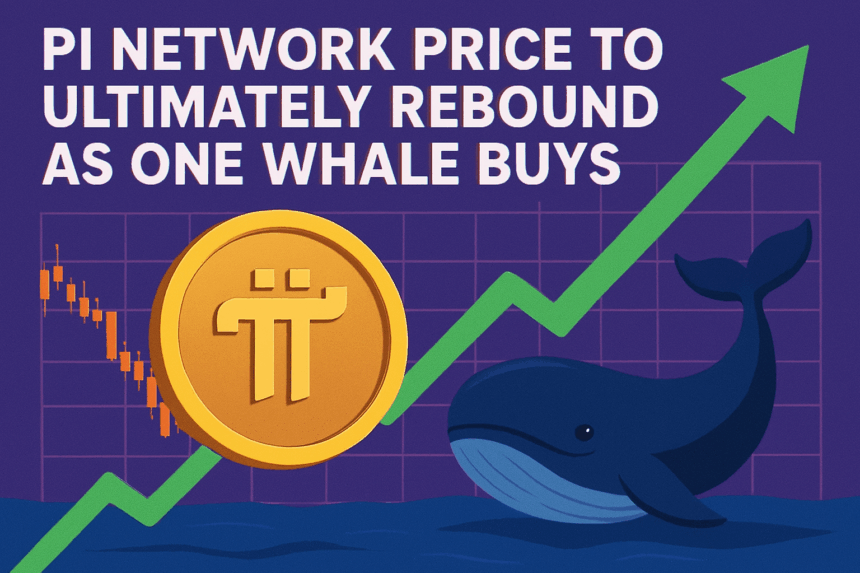 Pi Network Price Soars: Wyckoff Theory & Whale Buying