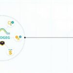 How to Route Bridging Aggregator Fees to Treasury Efficiently