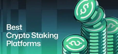 8 Low-Risk Stablecoin Staking Platforms for Secure Crypto Earnings