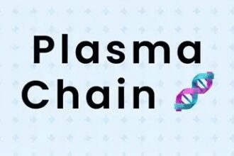 What is Plasma Chain? | Explained Simply & Clearly