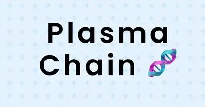 What is Plasma Chain?