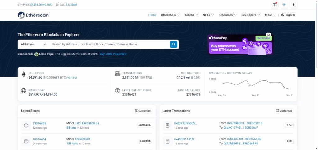 Step 1: Access a Blockchain Explorer