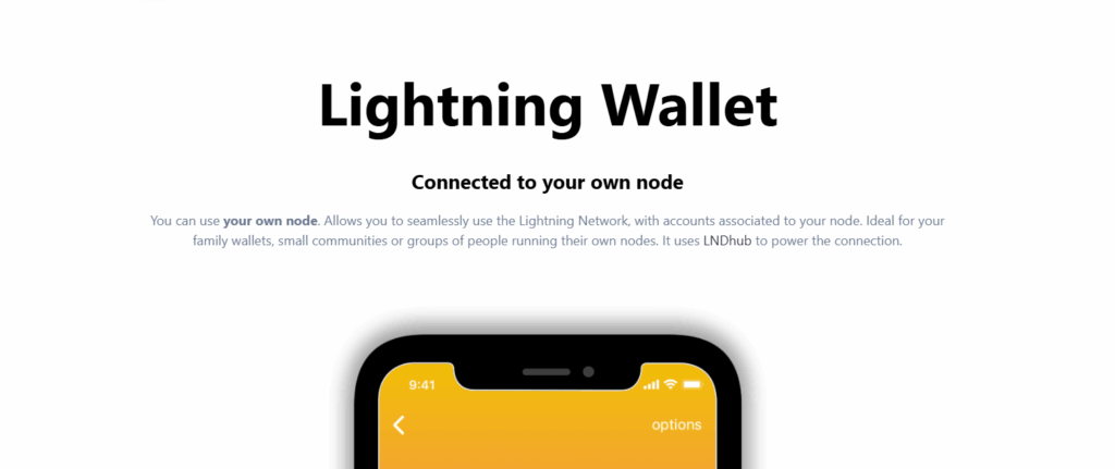 Bitcoin Wallet vs Lightning Wallet: Key Differences Explained 3 What is a Lightning Wallet?