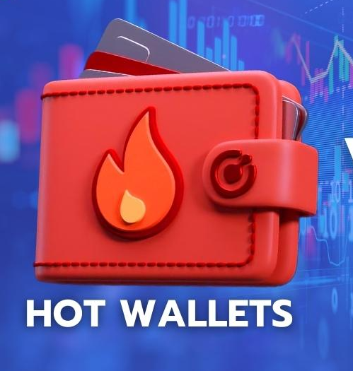 What is a Hot Wallet?