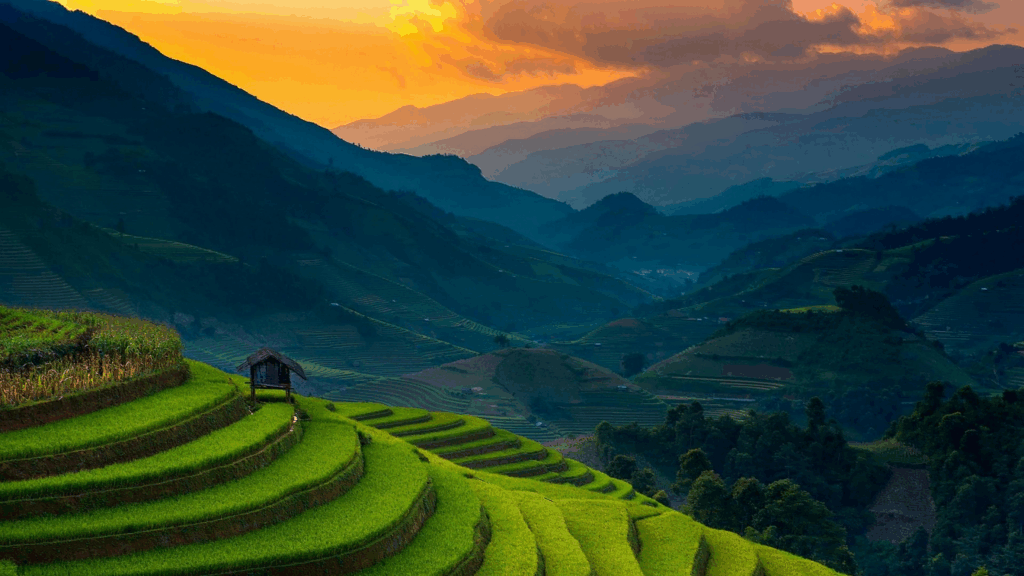 10 Top Developing Countries That Rely on Crypto in 2025 4 Philippines